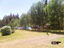 Camping Los Radales 