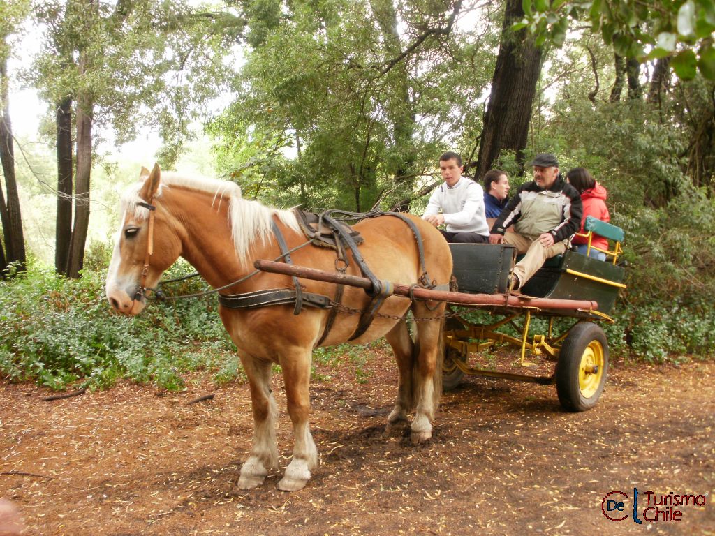 coche_de_Paseo.jpg