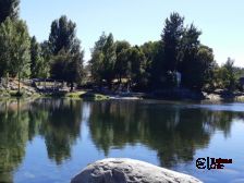 Camping RÍO RUCUE