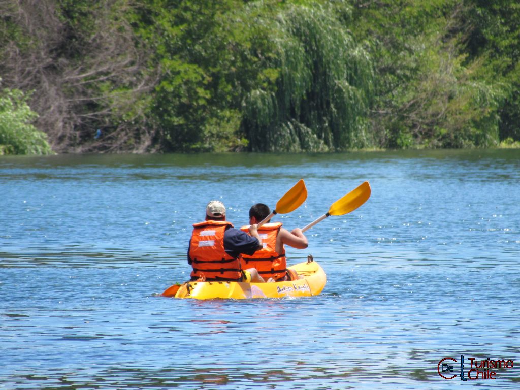 kayak.jpg